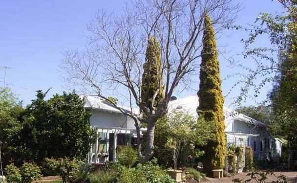 Jacaranda Guest House Busselton Ngoại thất bức ảnh