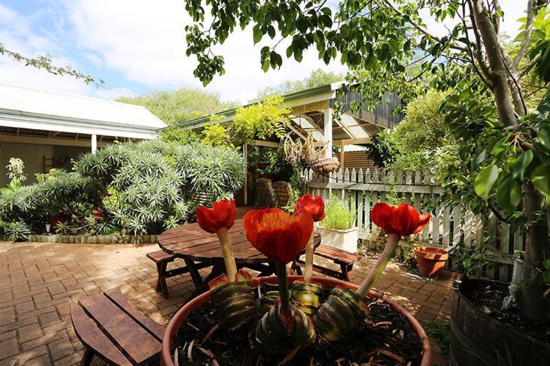 Jacaranda Guest House Busselton Ngoại thất bức ảnh